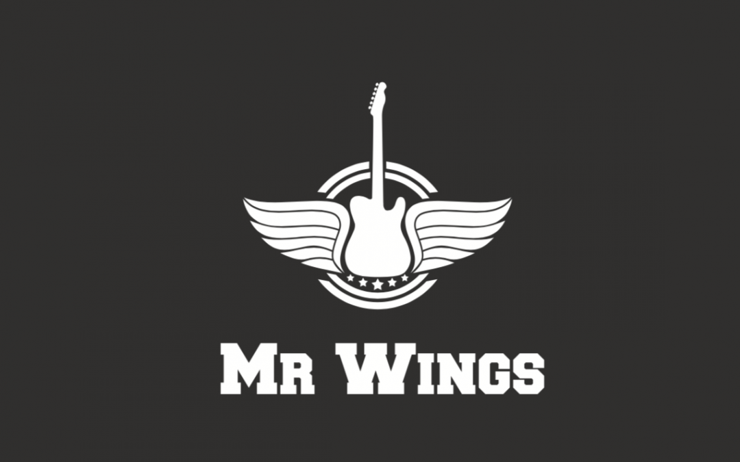 Mr Wings