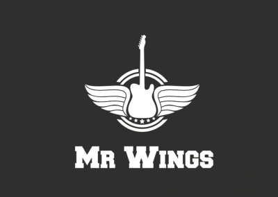 Mr Wings