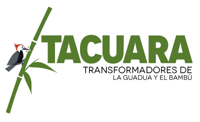 Tacuara y Asotacuara